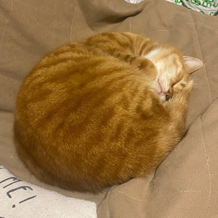 3e40d7bb 3cf6 4b84 bf29 f79ca579c832 1611106269073