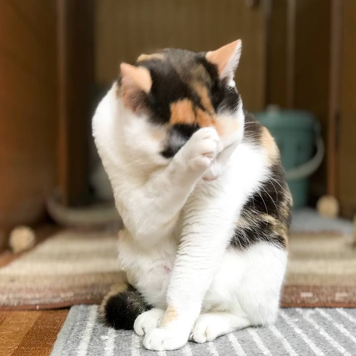 3e40e807 f68a 402a a3c9 c22dbe3405b9 1527992434014