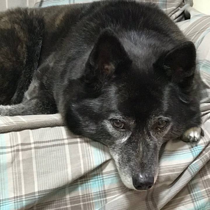 3e41105f 3097 4e61 b0ce efeb4f0b37a2 1523968562619