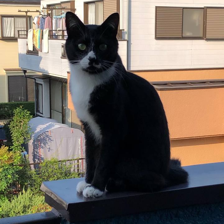 3e41247e a250 493f 85ff 674ae2b1f006 1567316103628