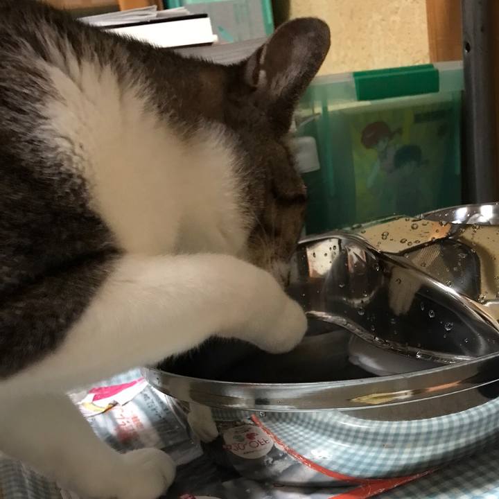 3e41461b 20c0 4101 8114 b2418b02d903 1508895550480