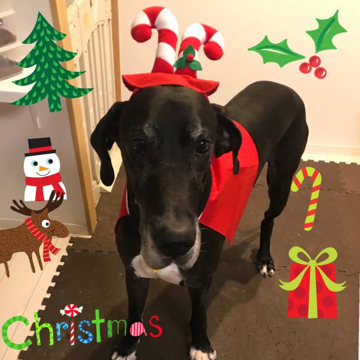 3e41587a 1c1f 4243 b7f1 874f68eae788 1513656555435