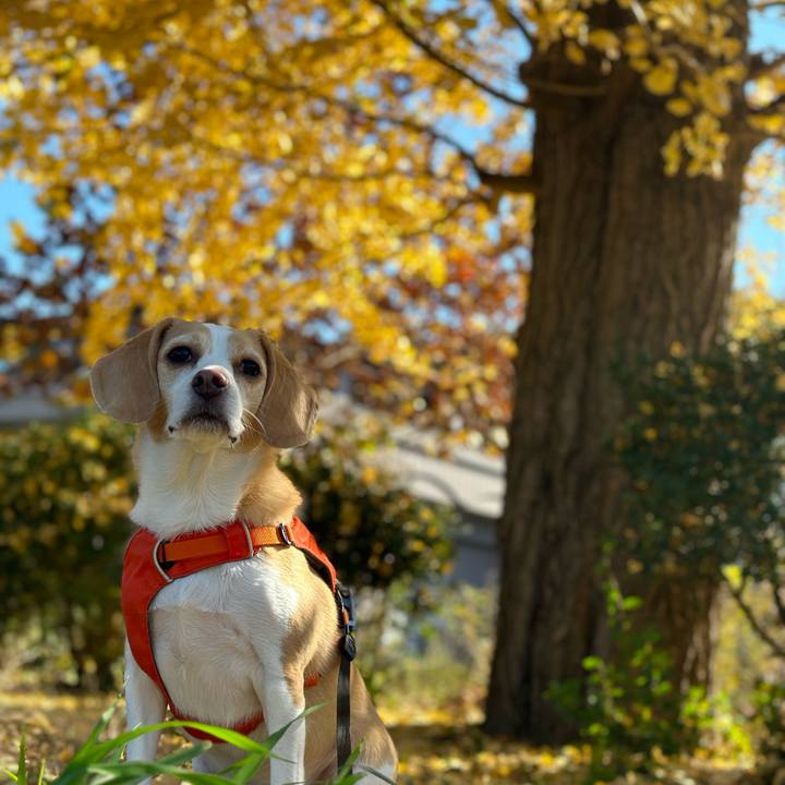 3e41adc4 6f46 45cc ad05 5900bfc5d059 1668136909305