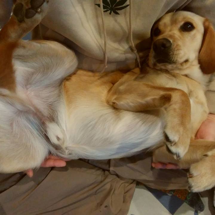 3e41bc0f baaf 472b b04e d180fc6e5aca 1514157588256