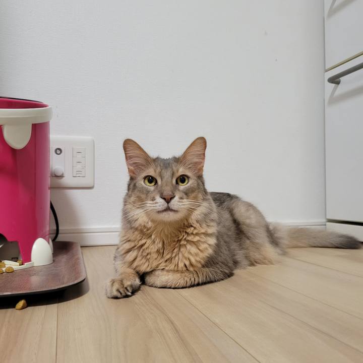 3e41d14f 4412 4ba8 8025 60d56a01b7c3 1689044800477