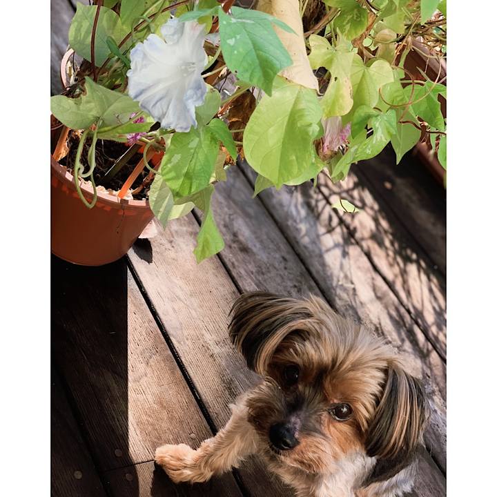 3e41dcc0 45ef 4989 9798 227d67dd83e5 1633128276431