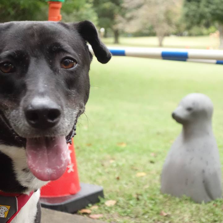 3e4211ed 9cd5 44b5 b21d d3df7a5ad4dc 1666569404865