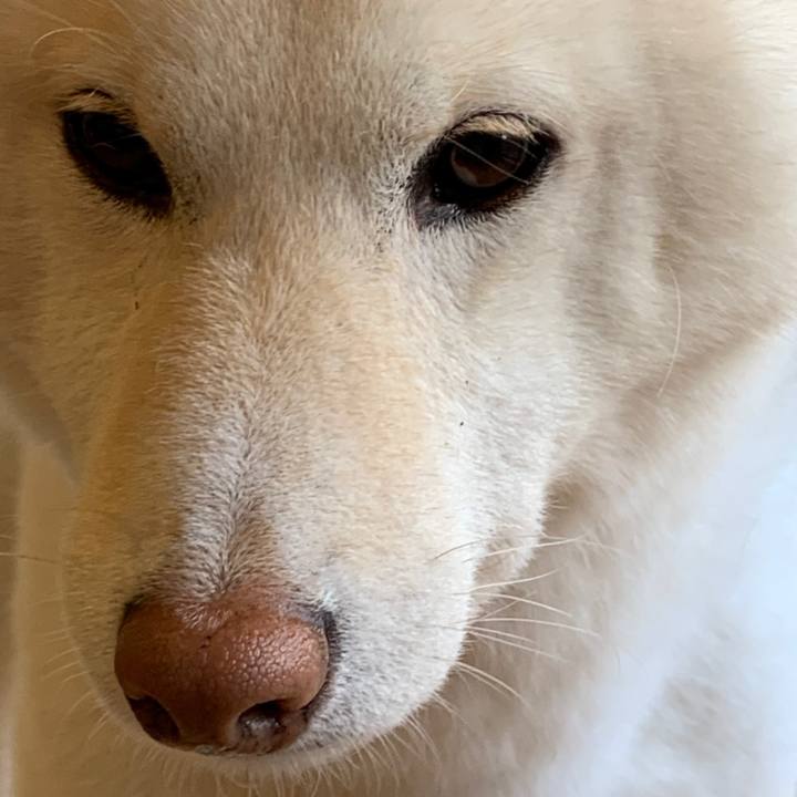 3e42159a 932e 4dd7 8cd5 f0f2d82a9e3d 1558696302514