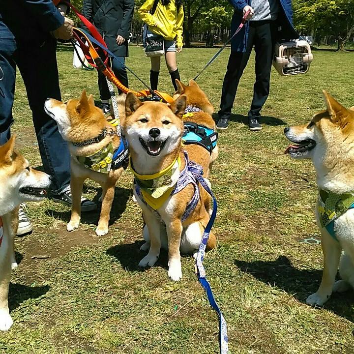 3e4237be d6b8 4f5e 964e c2c010b03292 1555167379698