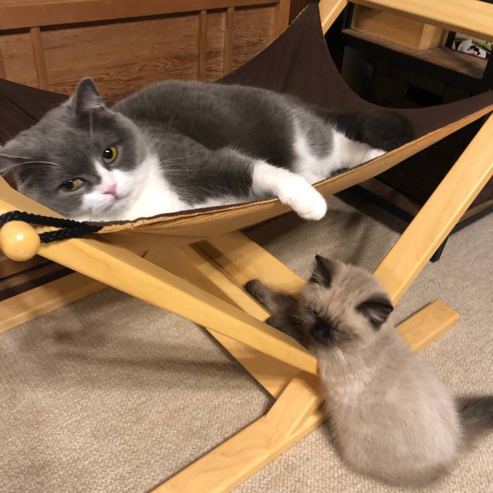 3e426358 36e1 42d6 9535 17e0cce78c4c 1588062051608