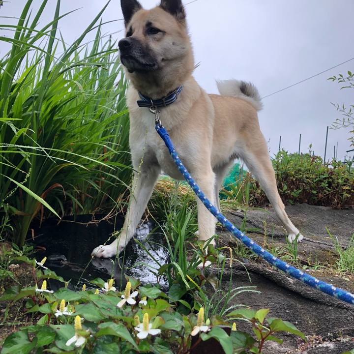 3e42a965 efb8 4804 bdbf 89e28ba118ae 1559044050328