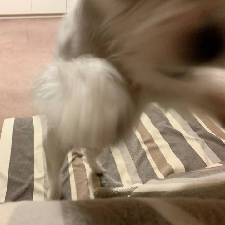 3e42ab27 e535 4443 ad3a 1d62a4dbce05 1576675741147