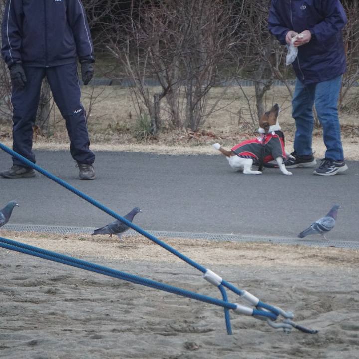 3e42f7c2 8af7 4eab 9b34 34081617de13 1518821792873