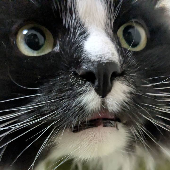 3e431698 acb4 4e69 b8c6 6de6c24c3412 1774559792980