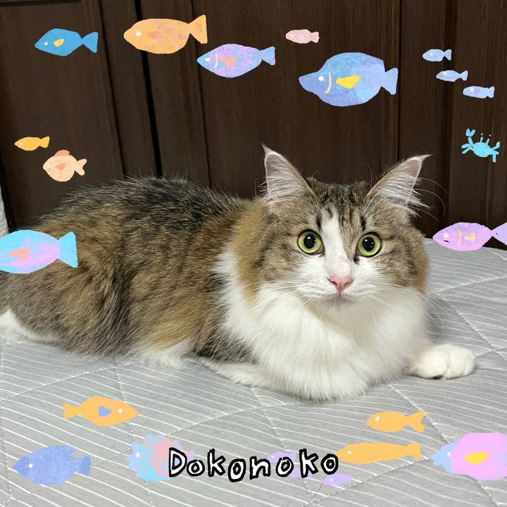 3e4316ce e356 4751 93e1 d2cdc9b000d6 1755055291893