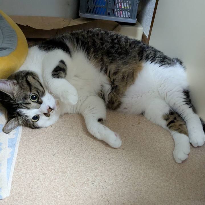 3e43304c 0d89 4a4f b77b f9cc81315ba5 1757862493410