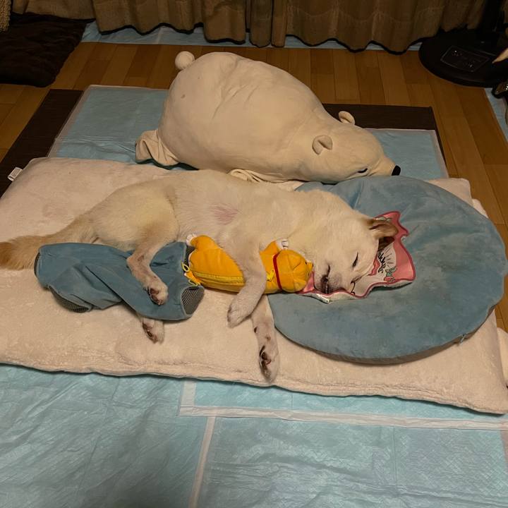 3e438041 9ffa 4da2 bc14 ad2a67c24ba4 1662321561480