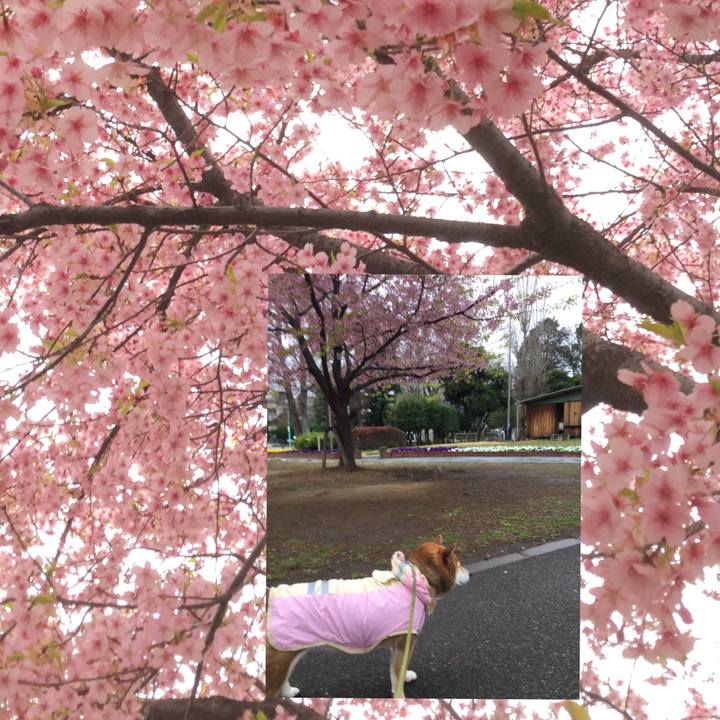 3e43c378 b521 4f98 ad95 9dcfe3d29f5d 1583302910557