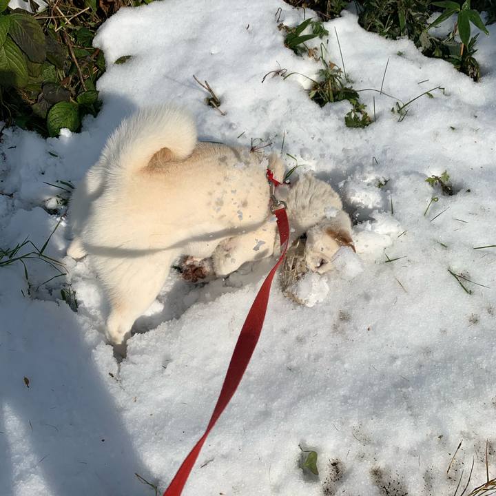 3e43ec29 66f8 4457 8b5b faab39cbcd37 1605244929670