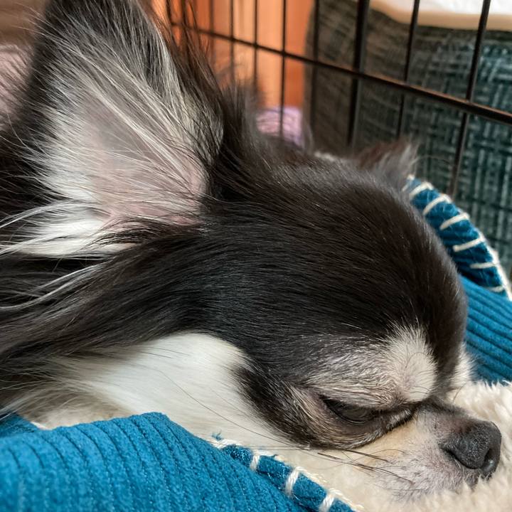 3e4403d5 d191 4f80 967f be031d9ee8bd 1669557027531