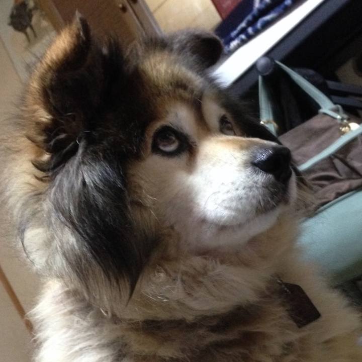 3e4417b2 bf47 410a b541 136ec598b48e 1594574106016