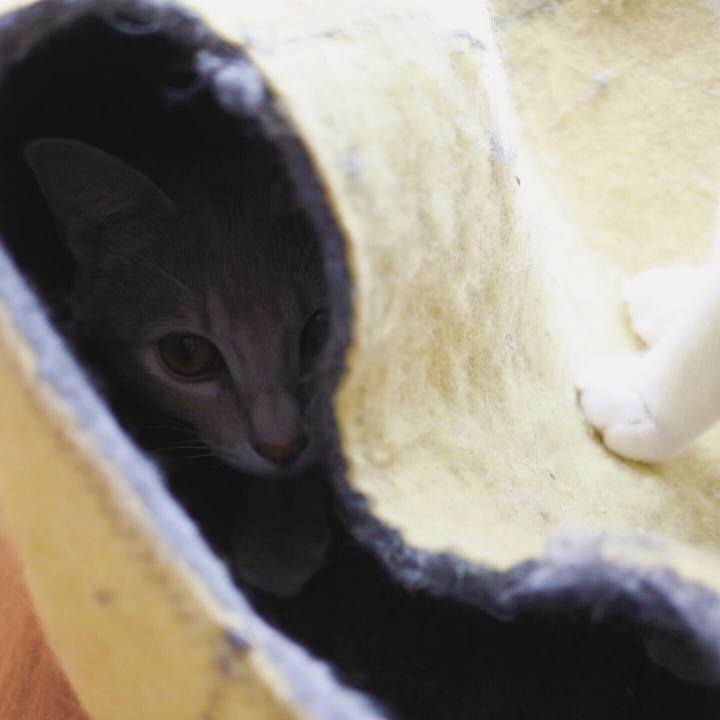 3e441a84 f715 4c1d 8a61 b851631f6662 1558958775625