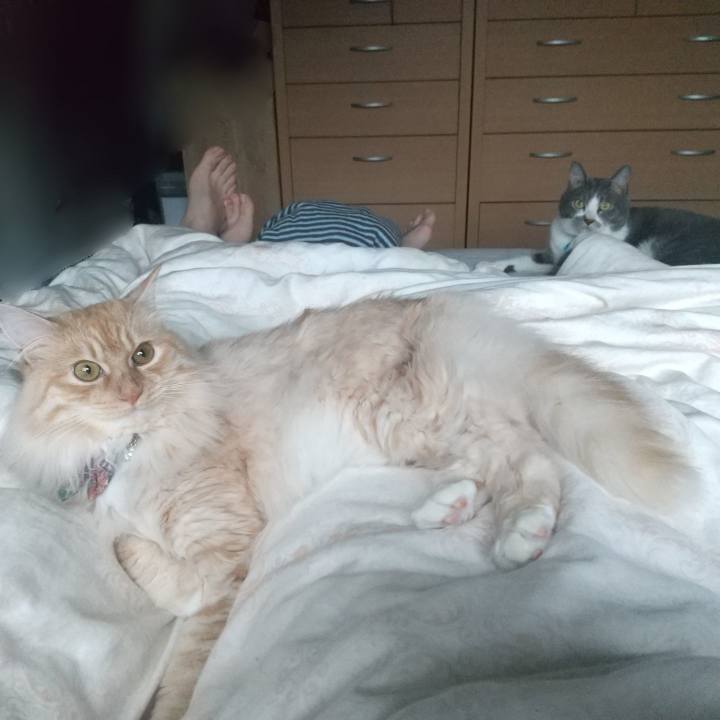 3e442702 7f4d 483b a80a ec34e21f8693 1652652051118