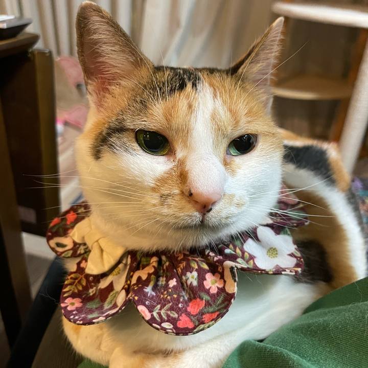 3e443f70 77e2 49eb a7b7 8902460147c4 1754918775767