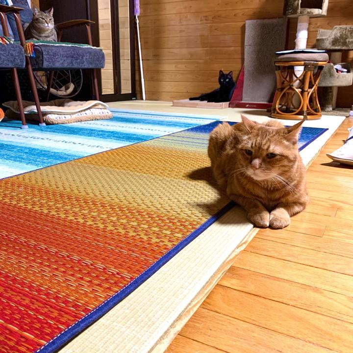 3e445232 4db7 4145 9ec8 04086d6f3a7a 1592570405020