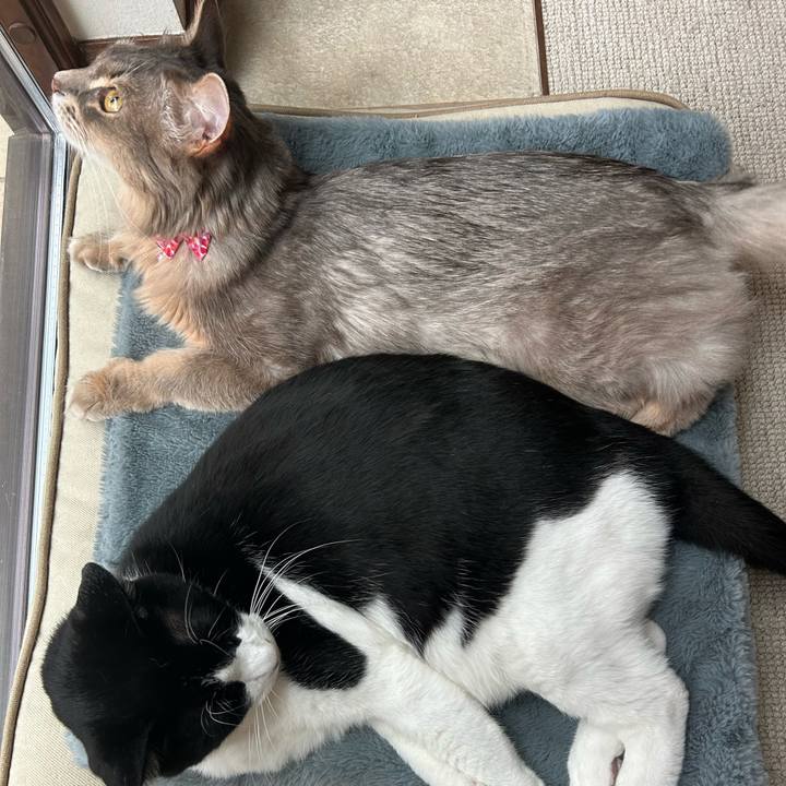 3e44862c 3e8a 41eb a407 587cd9a9e5c7 1763019749828