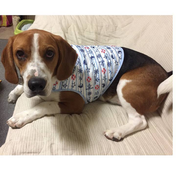 3e4491ea 5363 4ee8 a971 71727a7326e3 1530716179695