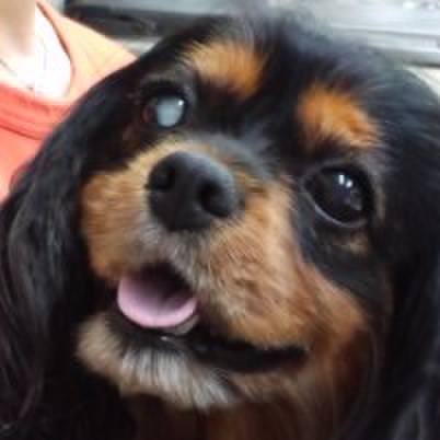 3e449257 4ec7 46e4 b9f4 f537473a8946 1518232036190