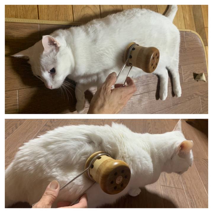 3e44ad24 7dad 4c64 b4e6 60ad0b9b500f 1652448034107