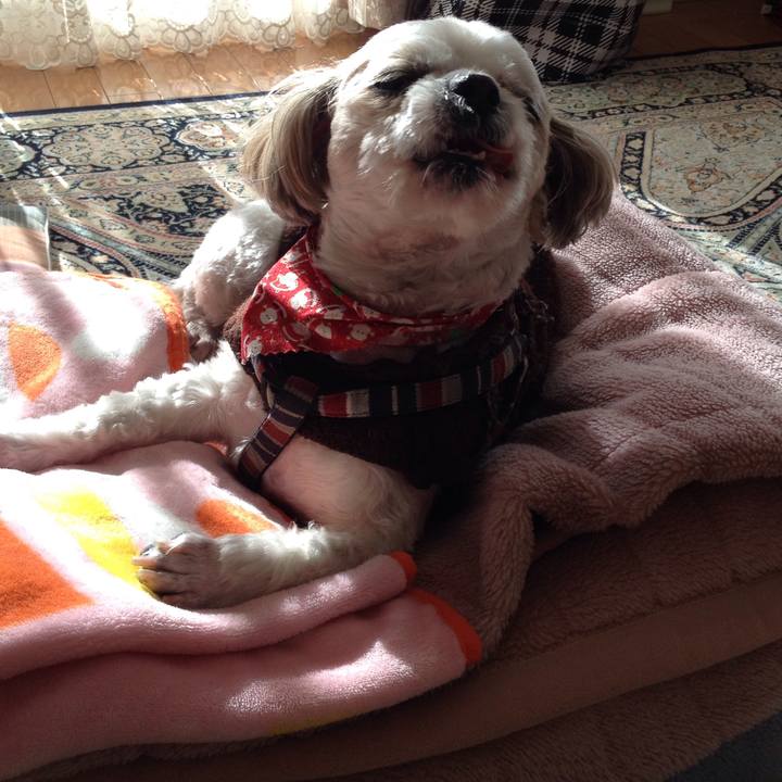 3e44b9ac 085d 4cea 9cc6 c00cd2868700 1514499150237