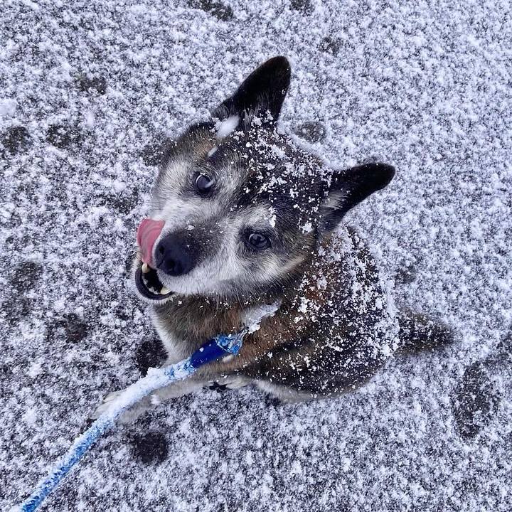 3e44d2d3 8a6e 4872 a682 6b447fe66a4b 1711059729135