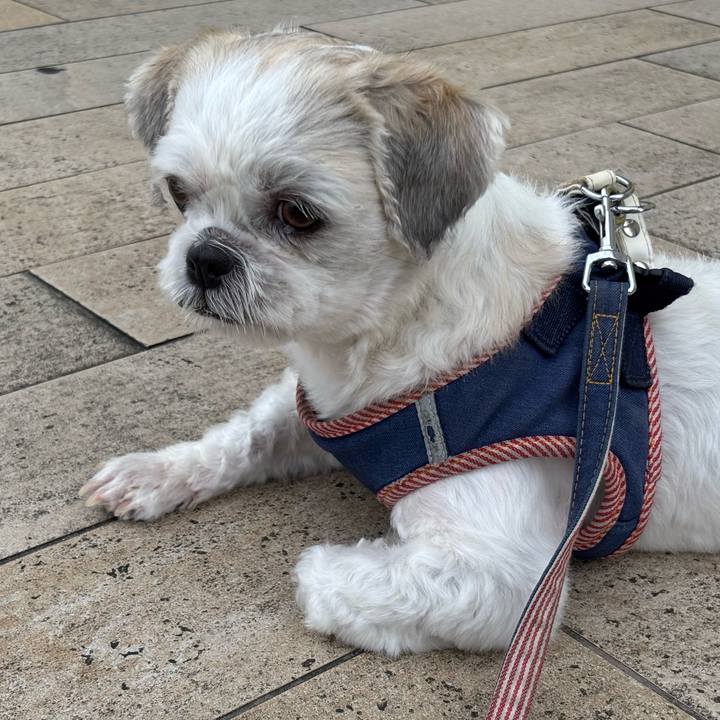 3e44ed1d 3bbd 4bbd 9b0c adae8bda2afe 1758231745199