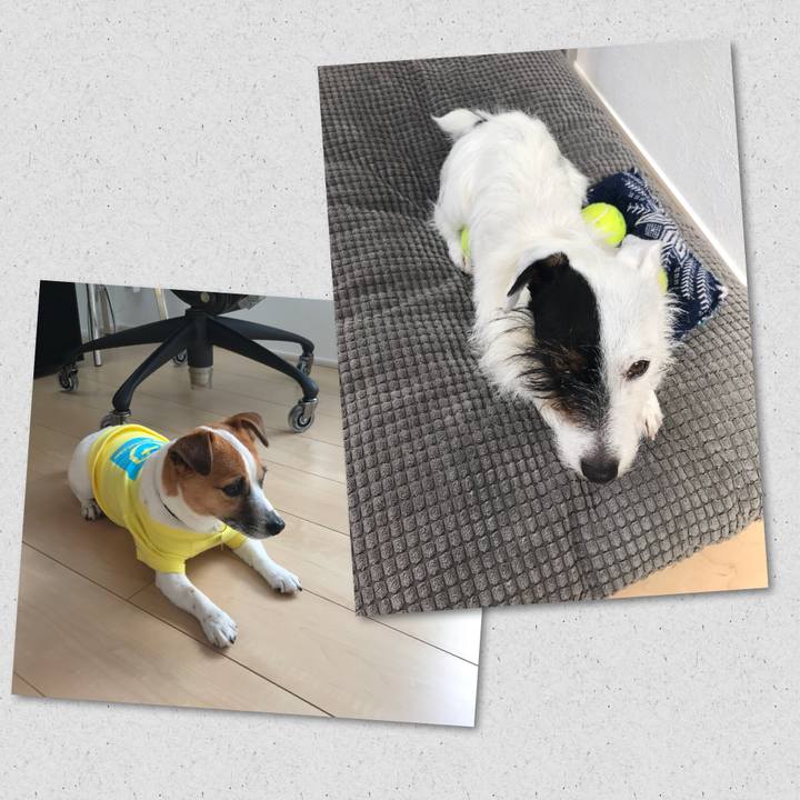 3e44f66f 526f 43d4 aa1c 241e1b9df362 1522283952688