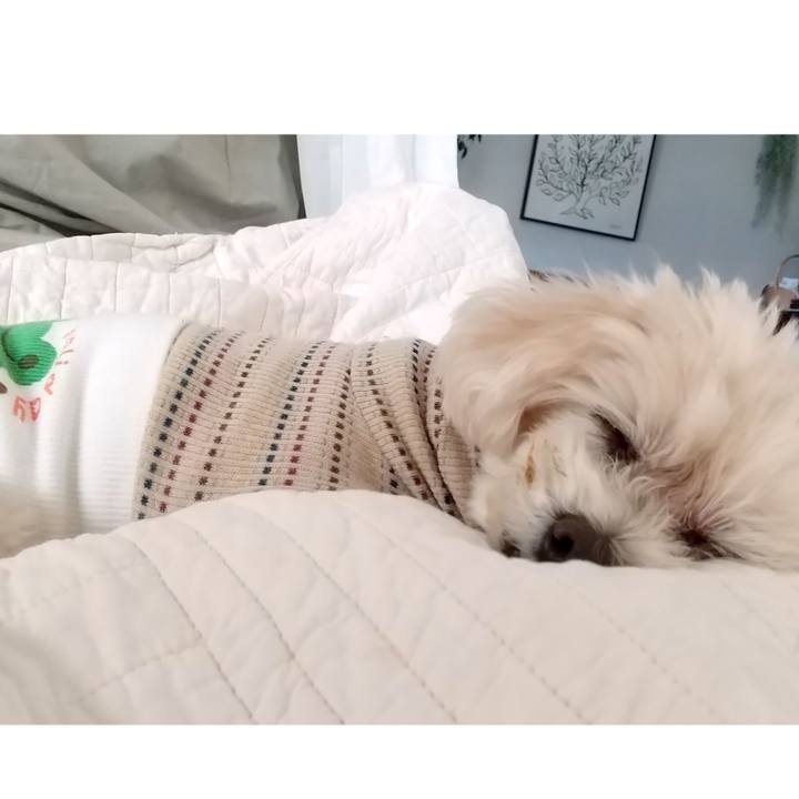 3e4526ac f134 41b0 9836 d938b7d3ce67 1666926405463