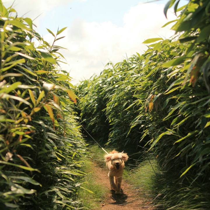 3e452936 e5cf 4263 9903 35970810014e 1630293003906