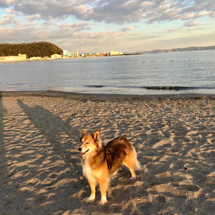 3e4567c8 fc9f 4f6f 9b51 7a577fe67b5c 1517297371679