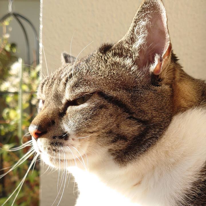 3e4584ca 66e1 4962 8f3c a33643e51ed5 1603242537750