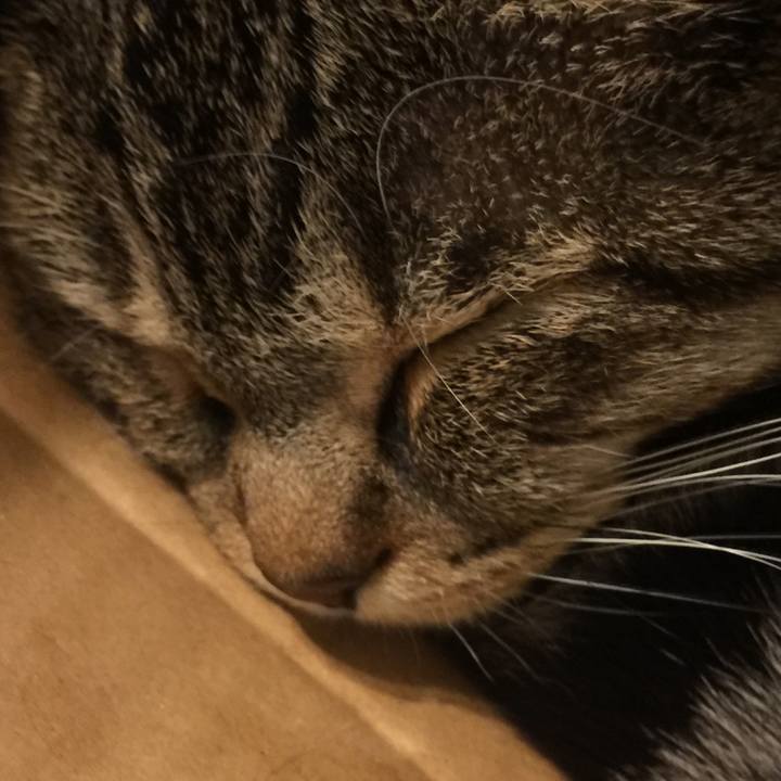 3e459198 b001 4655 b107 4329eb7892db 1549206592183