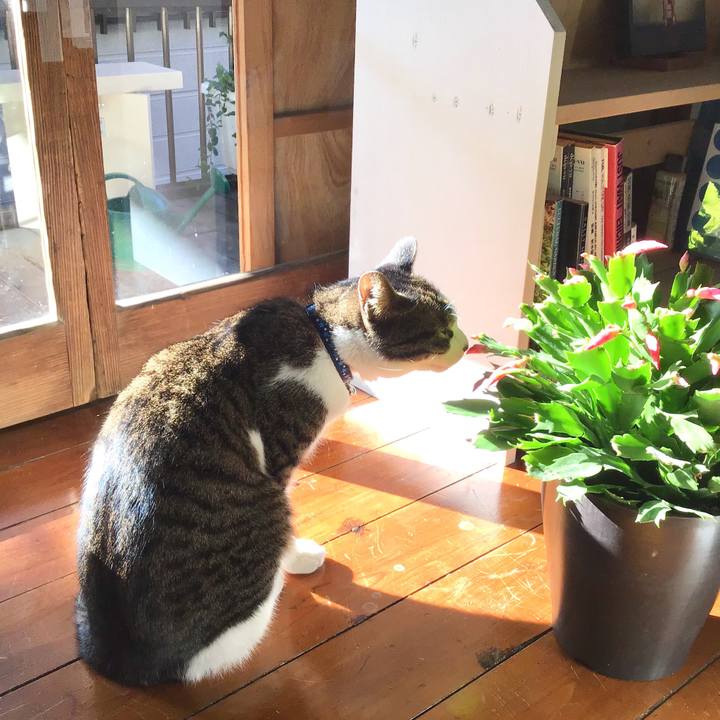 3e45ee4d e814 45eb aa63 aaf981ef3d34 1547378432553