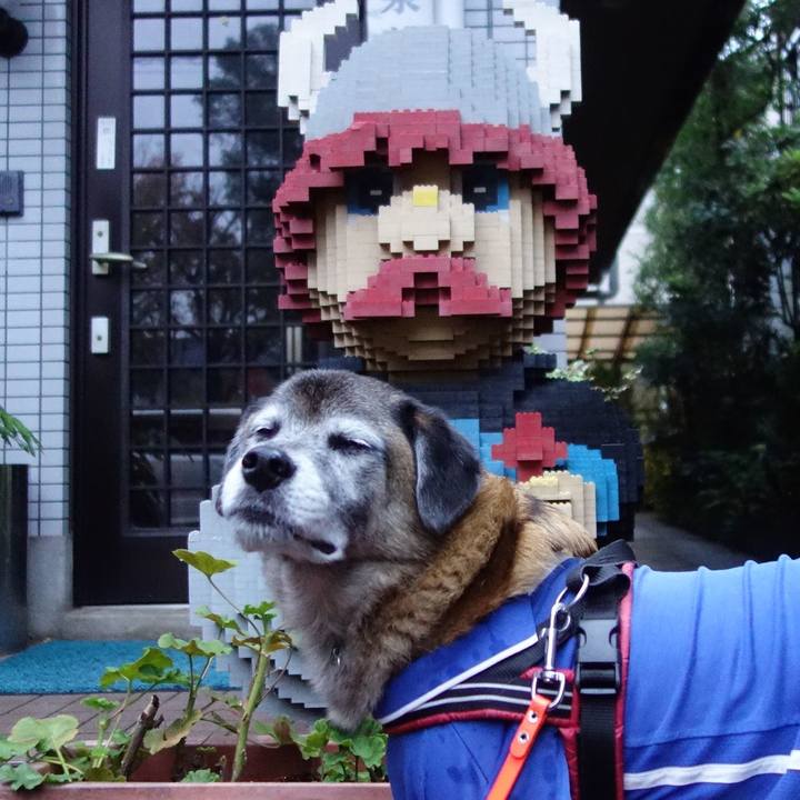 3e461db7 56c9 42e3 a9a5 1ce45a153822 1574640405474