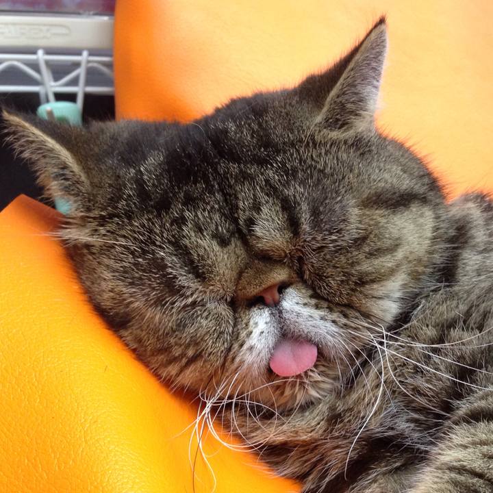 3e464619 2a22 42d9 8def 40f25de69718 1514595985503