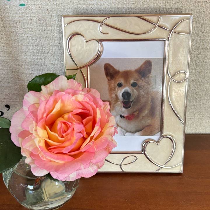 3e46649a 4be8 4986 b52e 2a108d7fb489 1746173379116