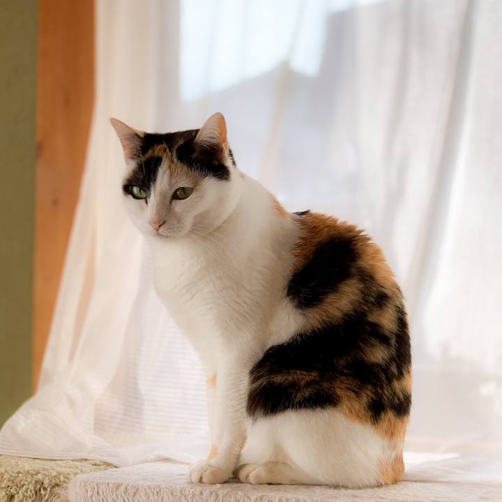 3e466b1a 7787 4a94 a7d1 64bccc5adb28 1591754046584