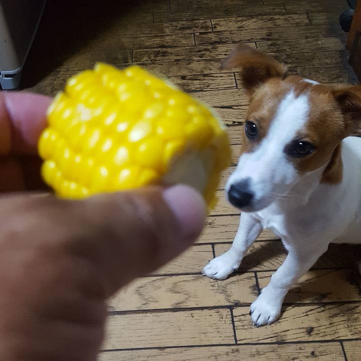 3e46762a 1c16 43d5 aee2 b7ef2ddfec0f 1561543524456