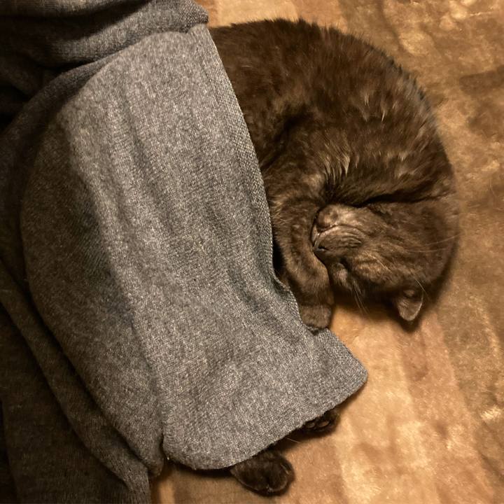 3e468091 e92c 4d44 83ed 69bd418945f9 1607619675092