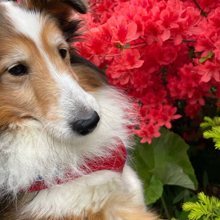 3e4681f0 eb10 4f9d 920e ba96f5ccbb2a 1621586545207